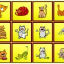 Cats Findiff 8 cats findiff