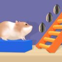 hamster stack maze